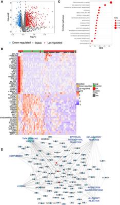 Transcriptomic characterization of classical monocytes highlights the involvement of immuno-inflammation in bone erosion in Rheumatoid Arthritis